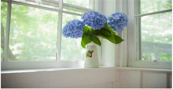 永利集团·yl(中国游)官方网站