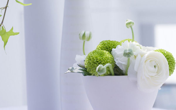 永利集团·yl(中国游)官方网站