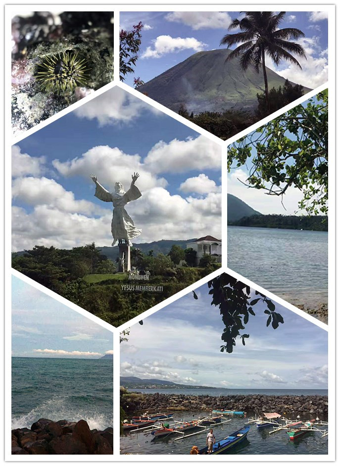 永利集团·yl(中国游)官方网站