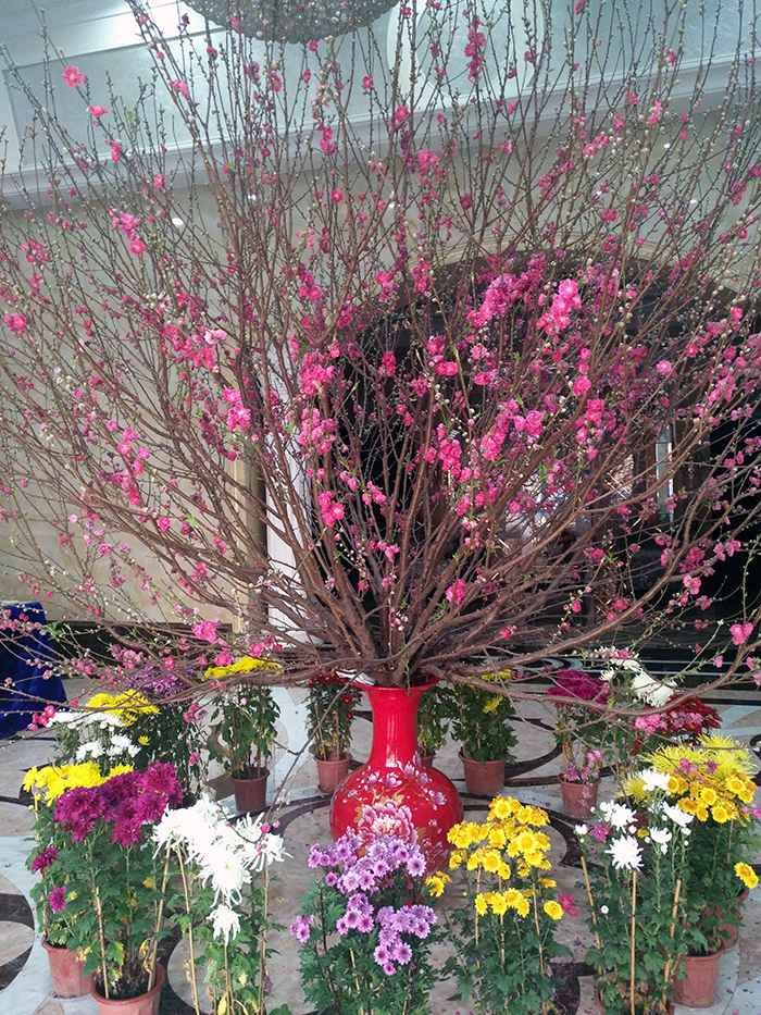 永利集团·yl(中国游)官方网站