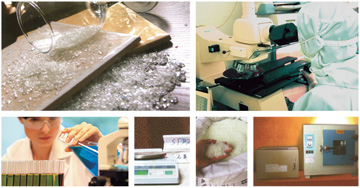 永利集团·yl(中国游)官方网站