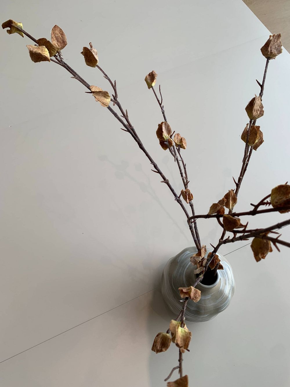 永利集团·yl(中国游)官方网站