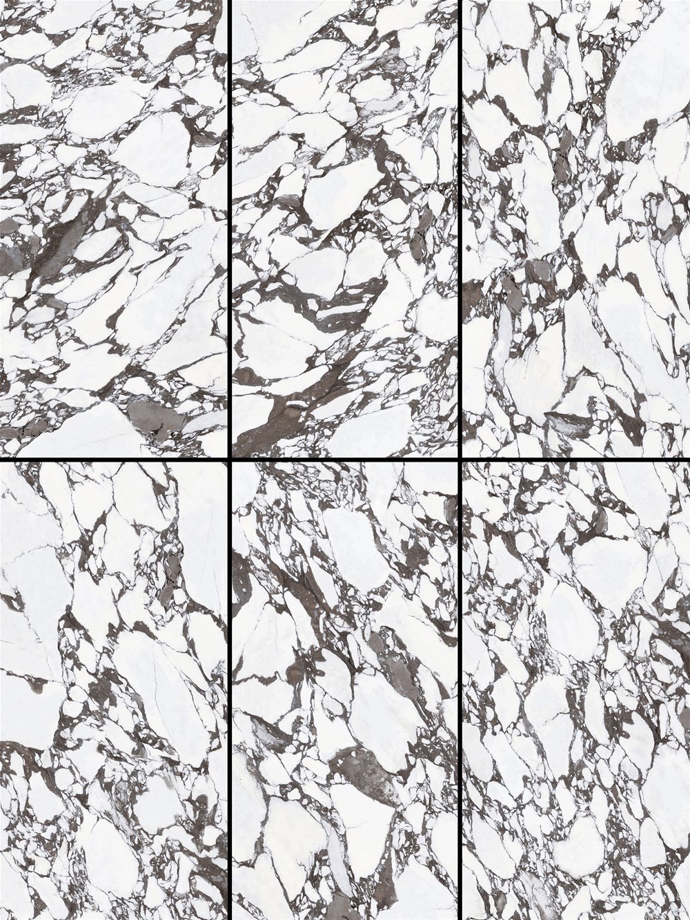 永利集团·yl(中国游)官方网站